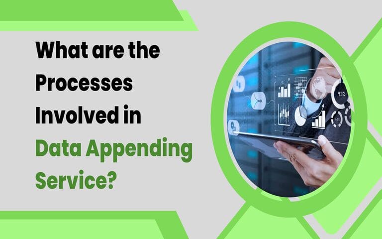 What Are The Processes Involved In Data Appending Service